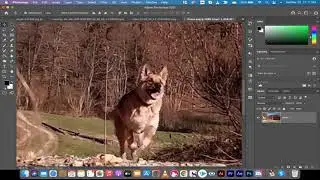 Freeze Frame Effect - Advanced - Premiere Pro CC 2021