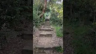 Blue Mountains