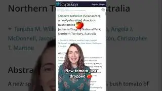 New tomato discovered!