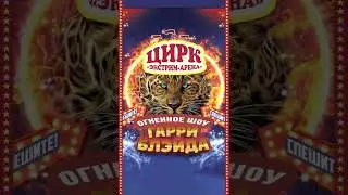 Обложка цирк