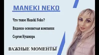 Что такое Maneki Neko Видение основателя компании Сергея Кушнира