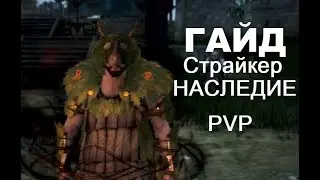Подробный гайд PvP страйкер в наследии.