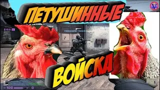 ПЕТУШИННЫЕ ВОЙСКА в CS:GO