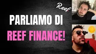 Parliamo di REEF FINANCE con il TEAM ITALIA
