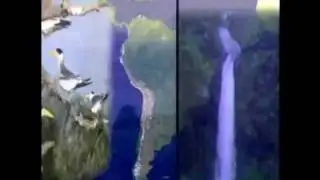 Help the Amazon forest, help our Planet