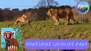 UK Days Out | Yorkshire Wildlife Park | Meet My Neices