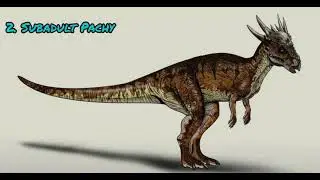 25 variations of Pachycephalosaurus