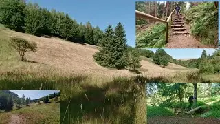 Tour durch das NSG Zechengrund