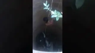 Yah Hadi liya PADI Mili he Hadi no  RJ 34. S D 8585
