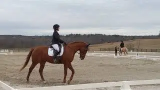 Novice Dressage Test A