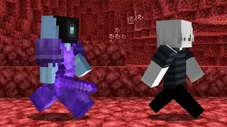 I Betrayed A Whole Streamers Minecraft SMP