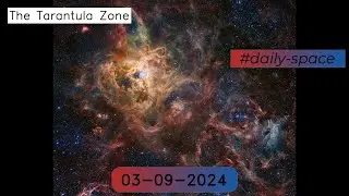 The Tarantula Zone - 03-09-2024