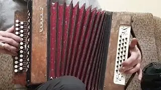 Чайка_2