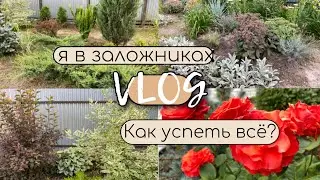 Уход за садом с новорожденным малышом