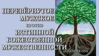 Перевернутое Мужское против Истинной Божественной Мужественности | Ложное Близнецовое Пламя