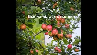 Будни травника, сбор яблок, поездка в парк животных