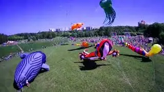 Фестиваль воздушных змеев 