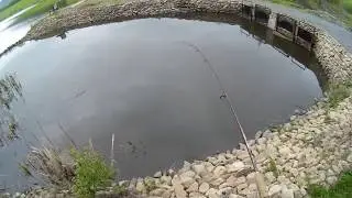 Shimano CATANA