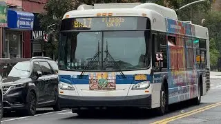 2015 New Flyer XD40 #7198 on the Bx17