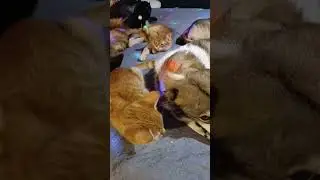 Доьрый вечер всем ;)