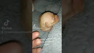 Abrió sus ojitos.