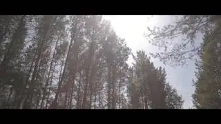 ОБЕЗБАШЕННЫЙ ВИД