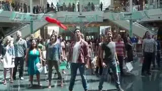 Les Misérables Flash Mob - Orlando Shakespeare Theater