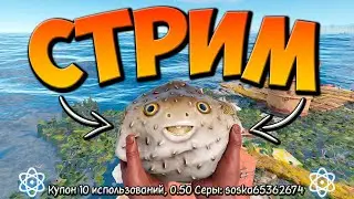 😊 ВЕСЕЛЫЙ СТРИМ ВЫЖИВАНИЕ 😊 в РАСТ RUST