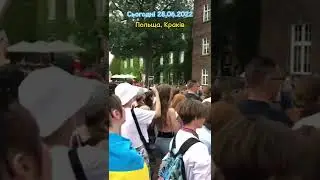 З Днем Конституції