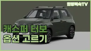 캐스퍼 필수 옵션