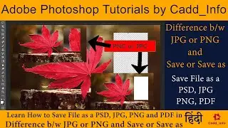 Adobe Photoshop Tutorials | How to save File as a PSD, JPG, PNG, PDF | Difference b/w JPG or PNG |