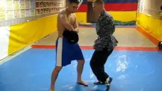 Лапы1.avi