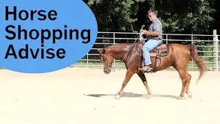 This is where you find a good horse!