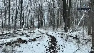 Winter in Canada, Ontario (2023)