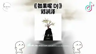 如果呢 Dj ♪ - （抖音版 2025）『抖音 | TikTok Remix』【動態歌詞】【纯音乐】