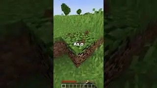 Minecraft, But Block Drops are Stacked!