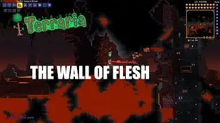 The Wall of Flesh
