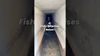 POV: Entering the unknown 🌊Shot on Osmo Action 5 Pro