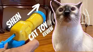 SHEIN Cat Toy Review