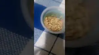 я САНЯ Я ЗНАЮ