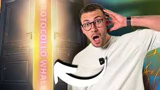 Apro Le Porte Del Protocollo Whale GRATIS - Cosa c’è All’interno Dell’Accademia di Michele Cotti?