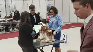 28 января 2024 г.