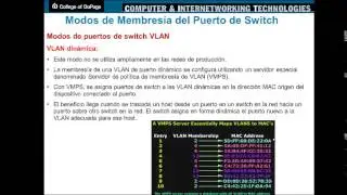 CAP4 LAN Switching and Wireless VLANs