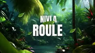NIVLA - ROULE (Audio)