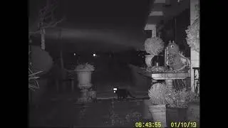 Wildcamera test