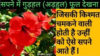 सपने में गुड़हल(अड़हुल ) का फूल देखना l ऐसे सपने जिसे आते हैं वो किश्मत वाले होते हैं l Hibiscus dream