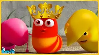 LARVA COCOON | Larva Season 1 Episode 19 | Larva Cartoons 2022 | Cartoon Comedy Video 2023
