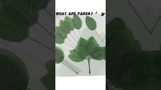 what we saw as a child #memes #subscribe #child