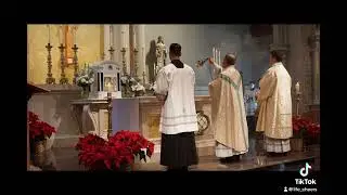 The Catholic Mass 🙌❤️🙏