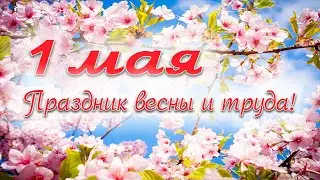 С 1 Мая! Яблоневый туман. Тифлооткрытка